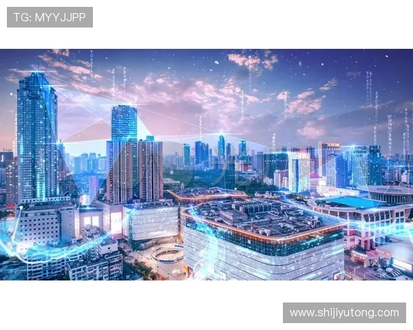 南京羽毛球队转型升级之路探析与未来展望