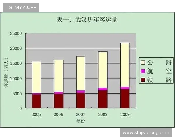 武汉羽毛球队战术表现深度解析与数据分析探讨